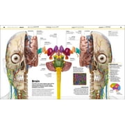 DK Knowledge Encyclopedias Knowledge Encyclopedia Human Body!: Human Anatomy as Youve Never Seen It Before, (Hardcover)