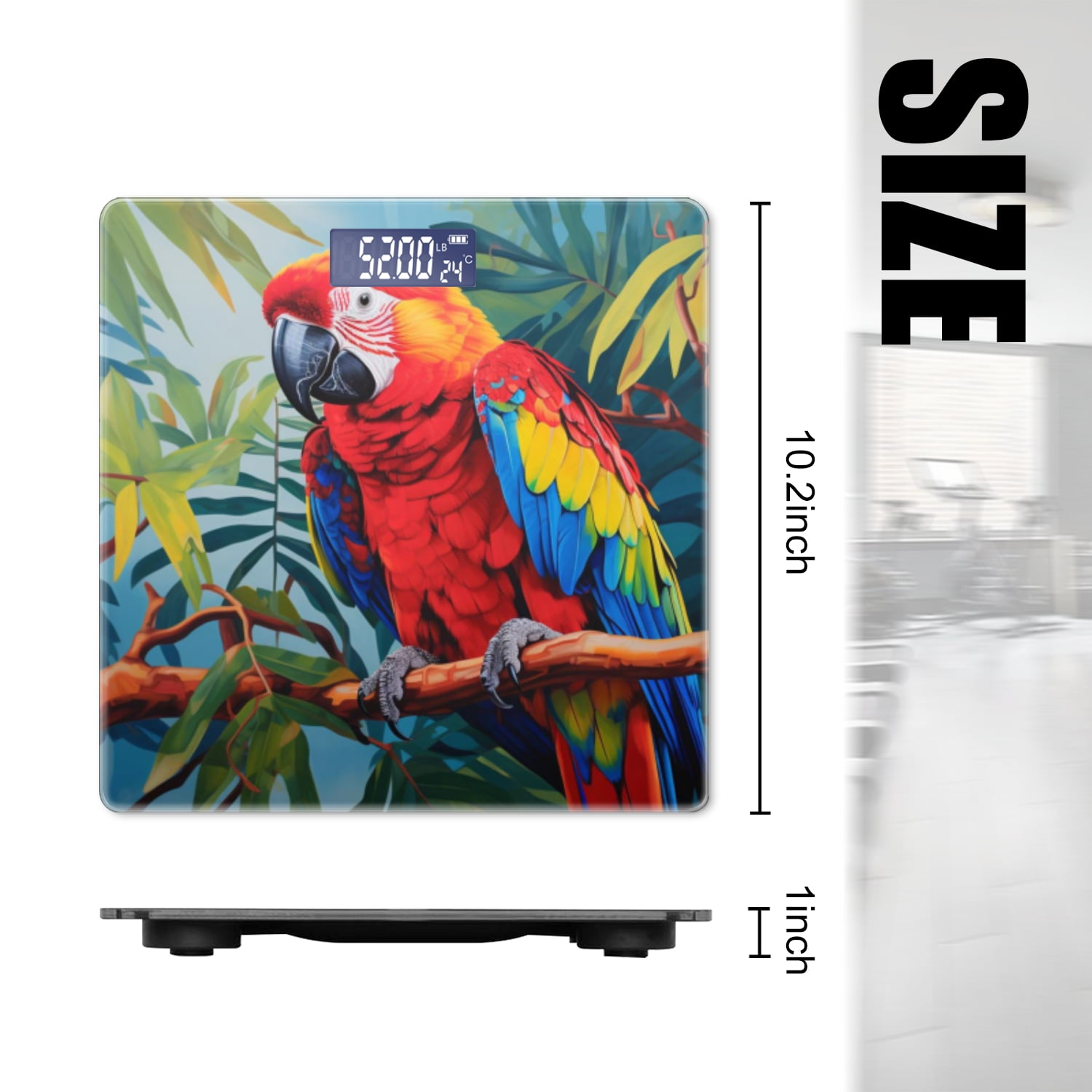 Digital Bathroom Scale with Large LCD Display,High Capacity Scale 400 lbs High Precision body fat scale-Colorful Parrot Perched On The Branch