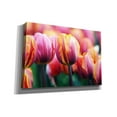thumbnail image 2 of Epic Graffiti 'Big Love Tulips' by Clive Branson, Canvas Wall Art, 26"x18", 2 of 8
