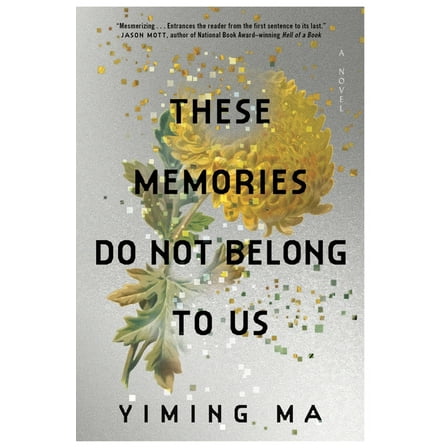 These Memories Do Not Belong to Us: A Constellation Novel, (Paperback)