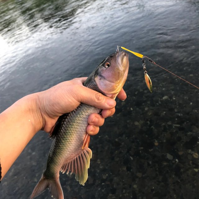 50 piezas de pesca suave señuelos de gusano artificial cebos de pesca de cebo de pesca para accesorios de pesca de trucha de lubina