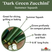 Burpee Organic Dark Green Zucchini Summer Squash Vegetable Seed, 1-Pack