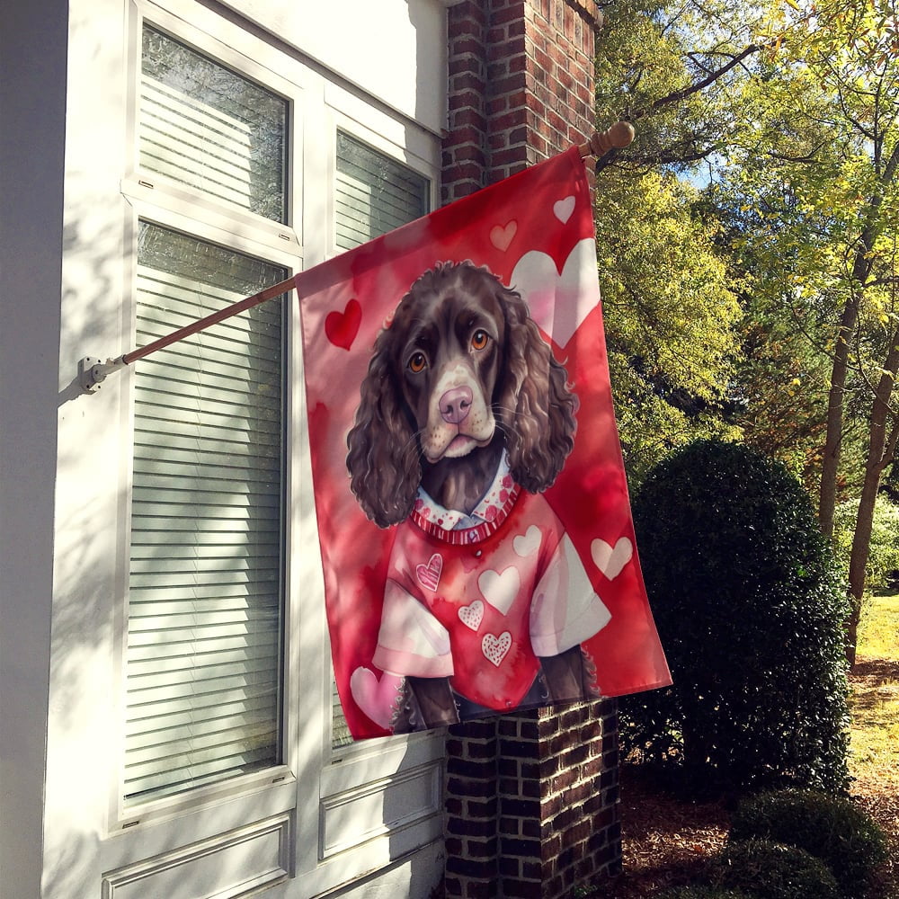 Caroline's Treasures DAC5266CHF American Water Spaniel My Valentine House Flag Large Porch Sleeve Pole Decorative Outside Yard Banner Artwork Wall Hanging, Polyester, House Size, Multicolor