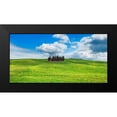 thumbnail image 2 of Krahmer, Frank 24x14 Black Modern Framed Museum Art Print Titled - Cypresses- Val dOrcia- Tuscany (detail), 2 of 5