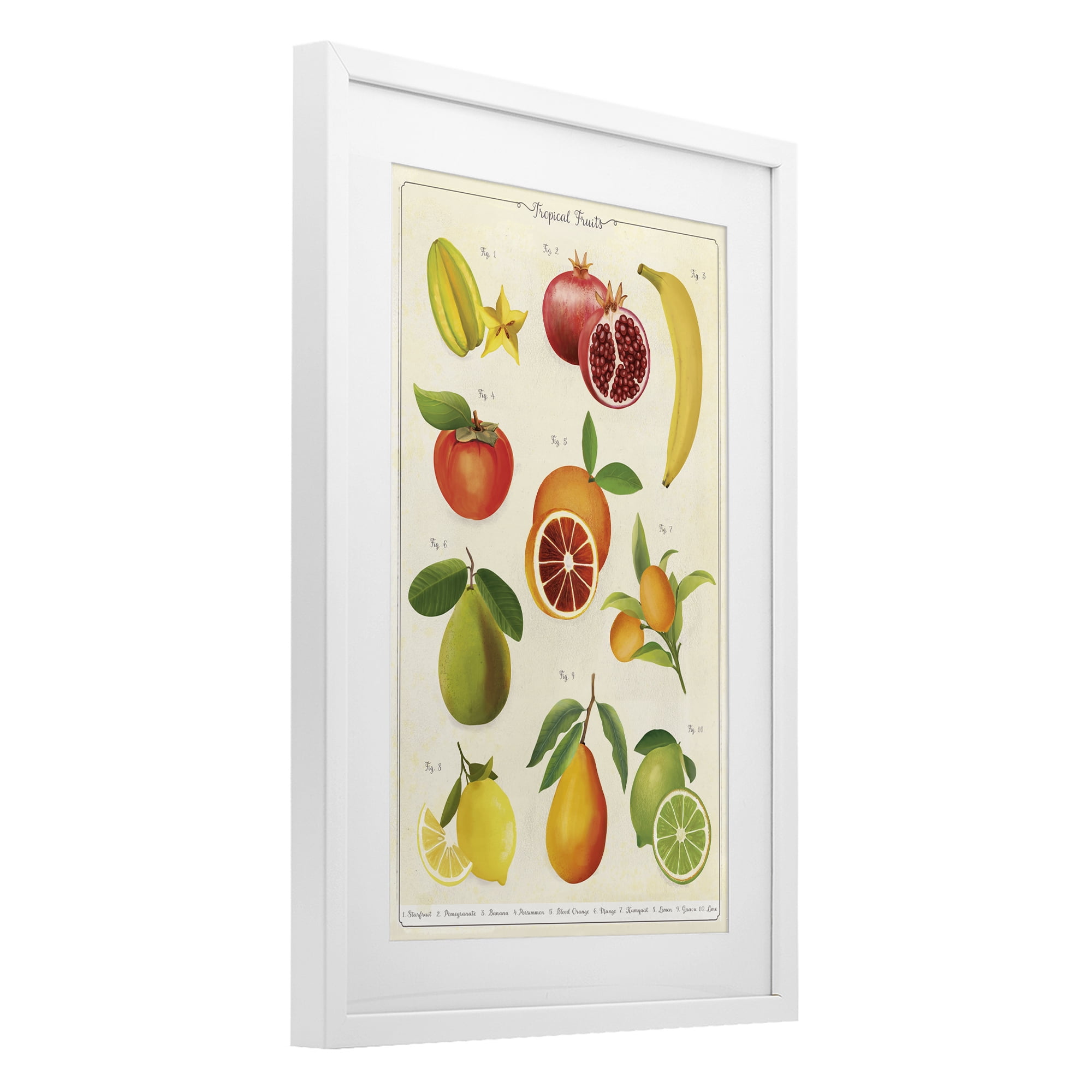 Stupell Industries Vintage Tropical Fruit Studies White Framed Print Under Glass, design by Diane Neukirch