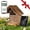Paulownia Wood, variant on Bird Feeder with Camera,1080P HD AI Identify Birds Watching Camera,Squirrel Proof Hummingbird House Cam,Solar Powered,Auto Capture Birds Motion Detection,Live View,Ideal Gifts for Avid Birder