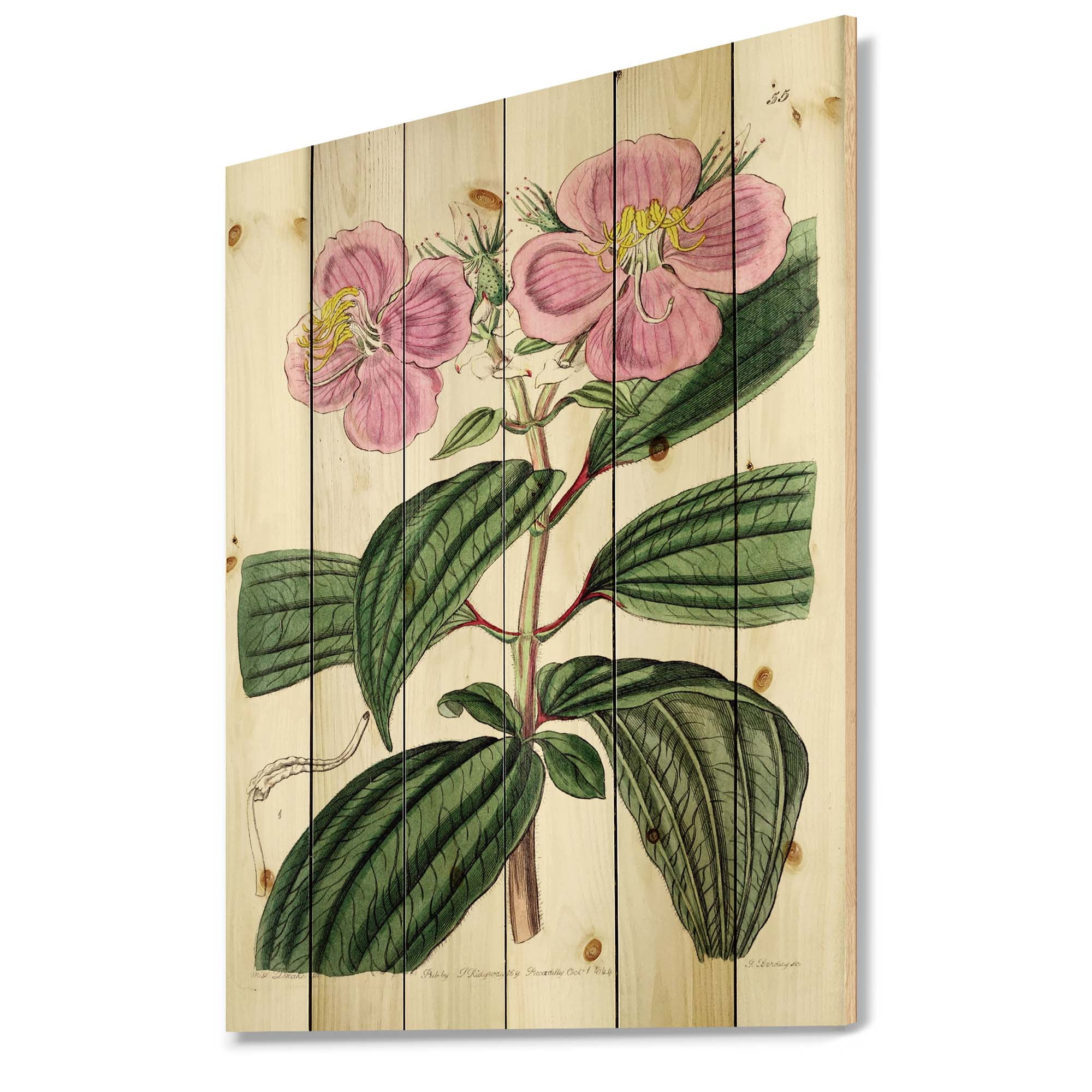 Designart 'Ancient Plant Life XXIII' Traditional Print on Natural Pine Wood