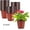 100 PCS, variant on 6 Inch Small Plastic Plant Nursery Pot/Pots 200 Pcs Seedlings Flower Plant Container Seed Starting Pots Indoor Outdoor (Red)