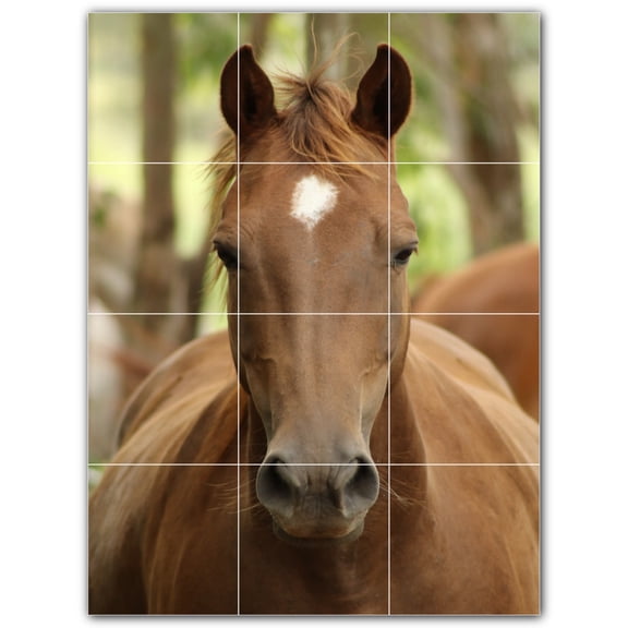 Picture-Tiles.com: Horse Ceramic Tile Wall Mural WAL500746-34XL. 36"W x 48"H using (12) 12" x 12" Ceramic Tiles-Satin Finish