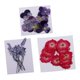 thumbnail image 1 of 32x Flores secas prensadas naturales Muti Especies para jabón hecho para joyas con, 1 of 9