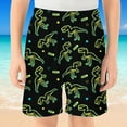 thumbnail image 4 of Shadoumai Kids Shorts Boys 6-7 Animal Graphic Elastic Waistband Cotton School Sport Shorts Active Swim Shorts Summer Short Pants Clothing, 4 of 4