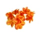 thumbnail image 5 of Moyic 10 unids/set decoración de fiesta flores artificiales para ambiente festivo decoración de boda decoración del hogar naranja naranja 2Conjunto, 5 of 6