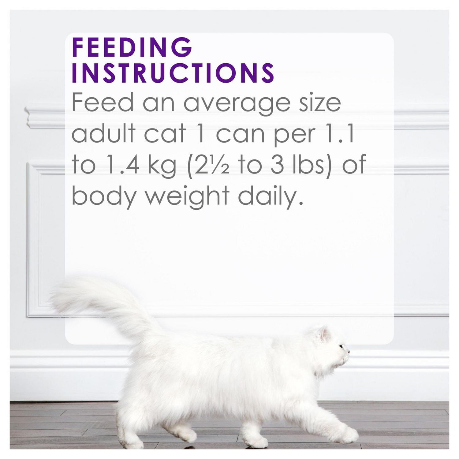 Fancy Feast Delights Grilled Turkey & Cheddar Cheese in Gravy, Wet Cat Food 85g, 85g