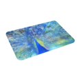 thumbnail image 2 of Daiia Peacock Front Door Mat, Heavy Duty Durable Welcome Mat for Outdoor Indoor, Dirt Trapper Waterproof Super Absorbent Door Mat, 16" x 24", 2 of 9