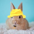 thumbnail image 3 of Mini Sombrero de mascotas Bunny Hat Sombrero Pequeño Animales Sombrero Mini Cubierta de cabeza para mascotas Accesorio de disfraces para mascotas, 3 of 7