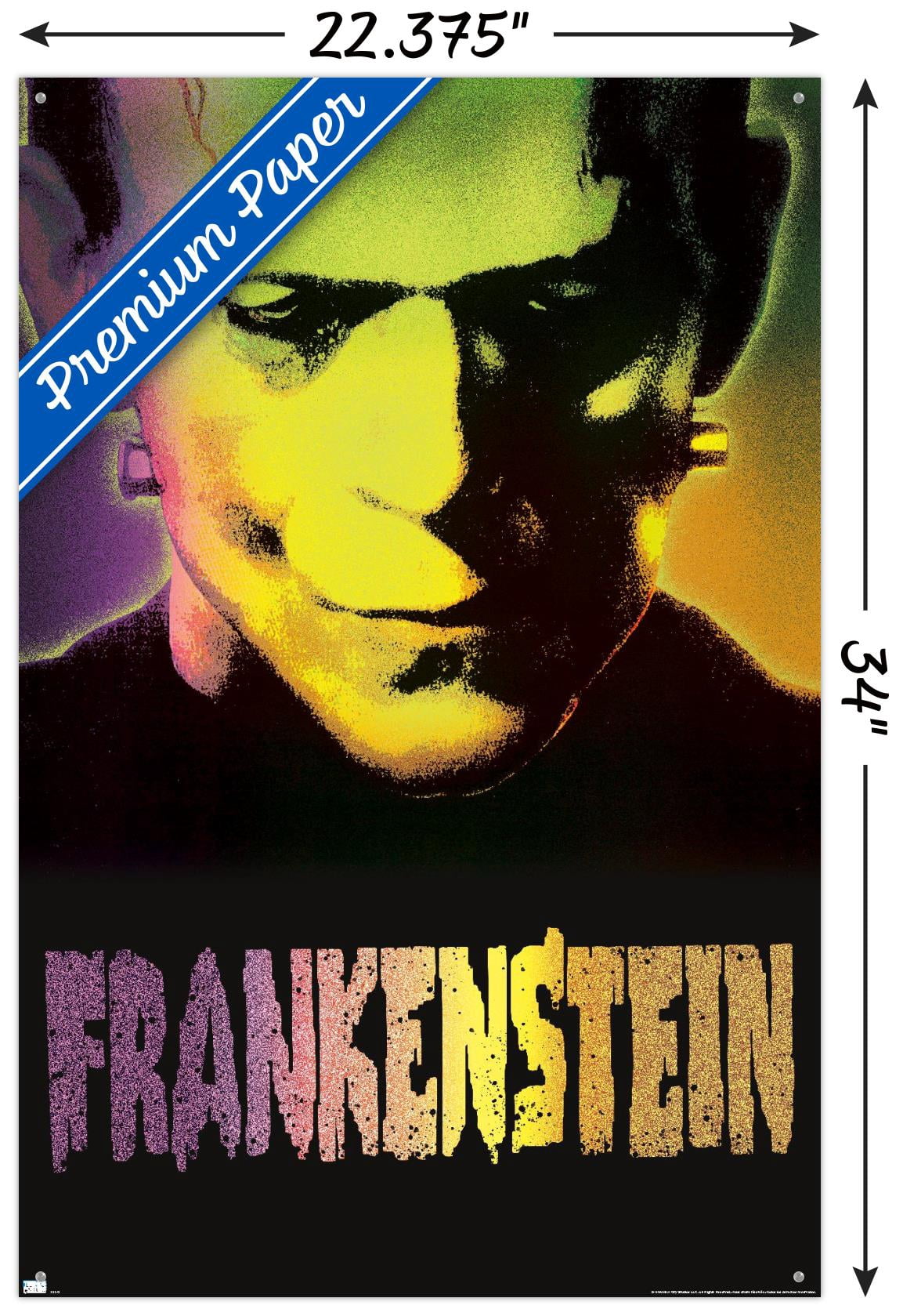Frankenstein - Close-Up Wall Poster with Pushpins, 22.375" x 34"