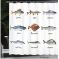 thumbnail image 4 of Ambesonne Fish Shower Curtain, Aquatic Animal Composition, 69"Wx70"L, Multicolor, 4 of 5