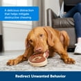 thumbnail image 4 of PetSafe Rawhide Treat Refills, Busy Buddy Dog Ring, Size A, Peanut Butter, Dry Food, 4 of 8