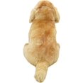 thumbnail image 4 of Cute Sitting Labrador Dog Stuffed Animal Plush Toy, Lifelike Dog Plushies, Simulation Animals Doll, 4 of 7