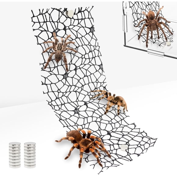 Bamboohart 4 Pack Tarantula Enclosure Accessories Jumping Spider Habitat Accessories with 16pcs Magnets Spider Terrarium Decoration Praying Mantis Habitat Jumping Spider Climbing Mesh (Bl