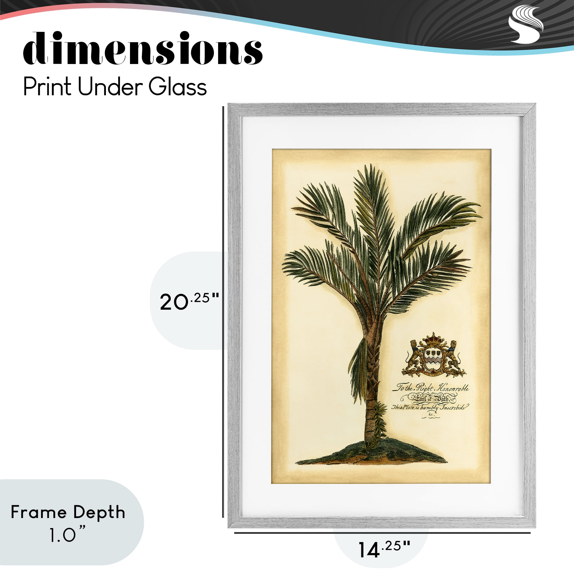Stupell Industries Vintage Colonial Palm Gray Framed Print Under Glass, design by Vision Studio