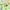 Grass Green, variant on TWINNIS Kids Playmat Rugs ABC Educational Learning Area Rugs Carpet for Kids Playroom Classroom,3’x5',Blue