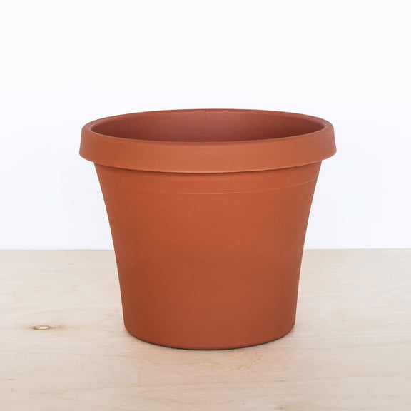Bloem Terra Collection 4" Diameter Round Terra Cotta Resin Planter Pot with Pre-Drilled Drainage Holes for Indoor and Outdoor Gardening
