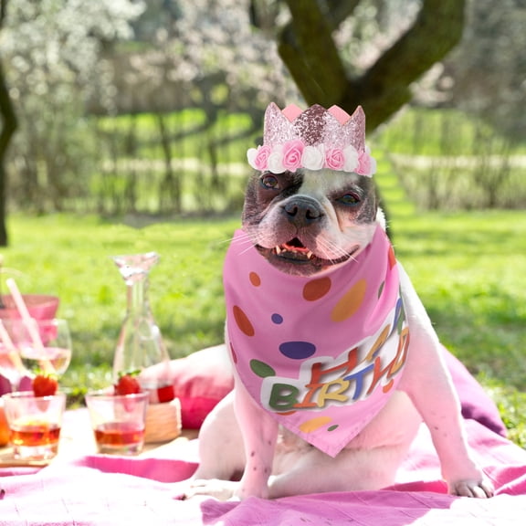 NIAIZEK 1Set Adjustable Dog Birthday Bandana with Dress and Hat Pink Pet Outfit
