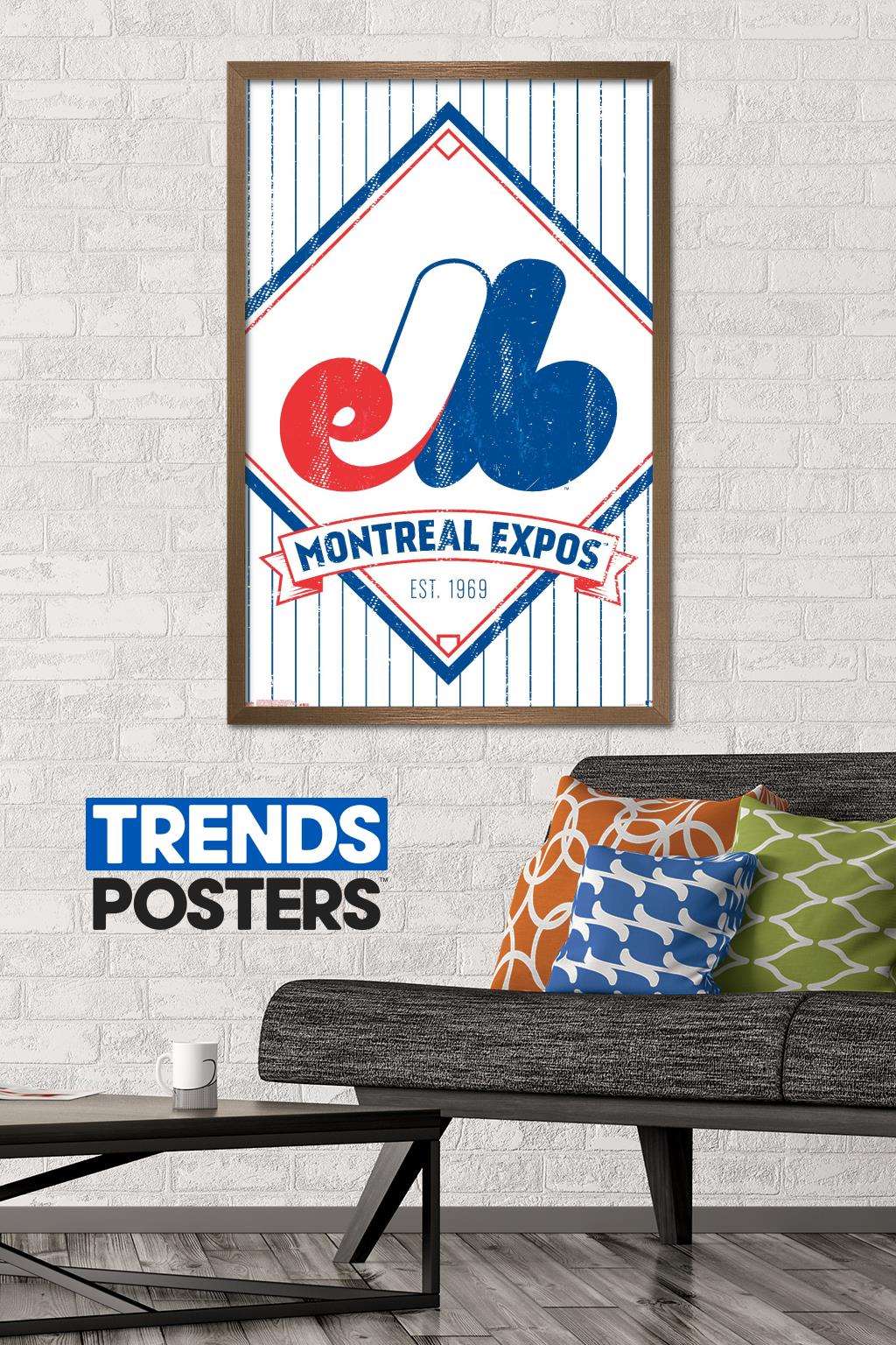 MLB Montreal Expos - Retro Logo 19 Wall Poster, 22.375" x 34", Framed
