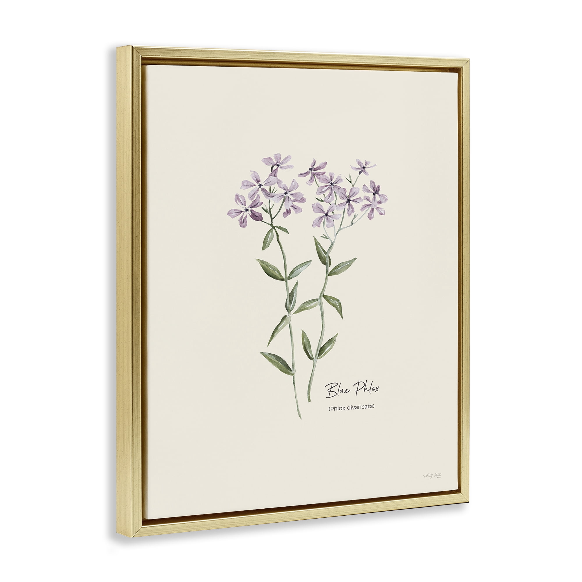Stupell Industries Country Herb Diagram Botanical & Floral Painting Gold Floater Framed Art Print Wall Art, 25 x 31