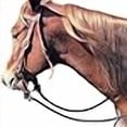 thumbnail image 3 of Martin Sellerie Phil Haugen Corde Tressée Rein, 3 of 3