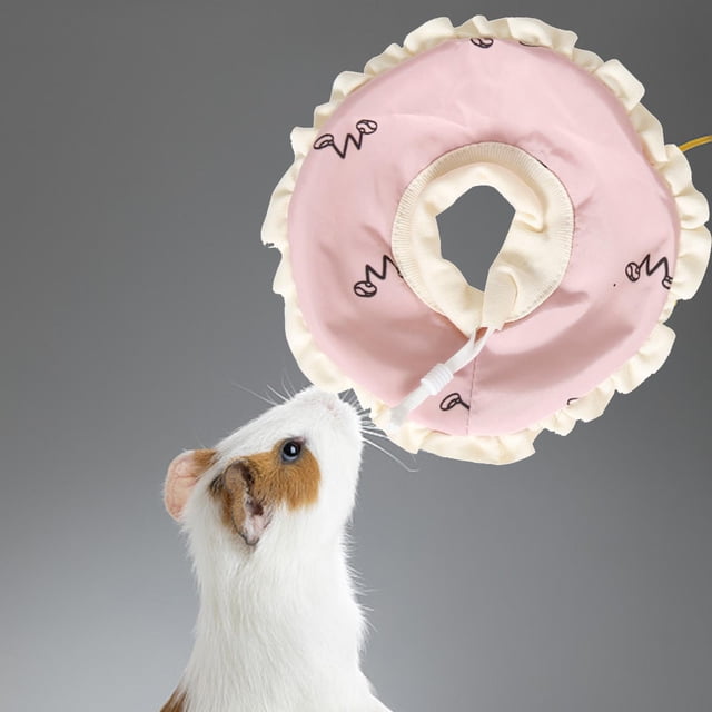 Collar de recuperación para mascotas Colco cono de Hamster Rosa suave para heridas antimordidas