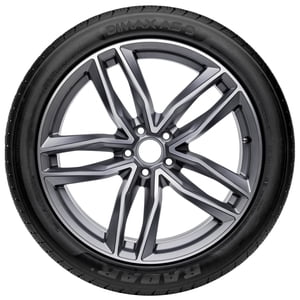 Radar Dimax AS-9 All Season 205/50R17 93W XL Passenger Tire Sansujyuku sansujyuku.com