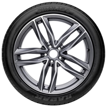 Radar Dimax AS-9 All Season 205/60R16 96V XL Passenger Tire Sansujyuku sansujyuku.com