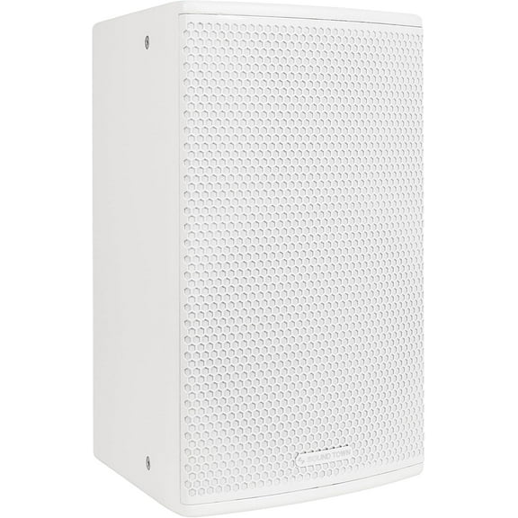 Sound Town CARME Series 12" 700W 2-Way Professional PA DJ Speaker, White with Titanium Driver, Birch Plywood for Installation, Live Sound, Karaoke, Bar, Church (CARME-112WG3)