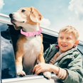 thumbnail image 5 of Dog Collar Soft Rubber Dog Collar with Safety Buckle Adjustable Pet Collars for Small Medium Large Dogs -S, 5 of 5