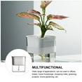 thumbnail image 3 of IDEANATEGRATE 1Ud Maceta Autorriego Transparente Para Control De En Plantas Y Suculentas, 3 of 8