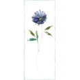 thumbnail image 2 of Robinson, Carol 8x14 White Modern Wood Framed Museum Art Print Titled - Plum Garden II, 2 of 4