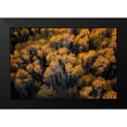 thumbnail image 2 of Xu, Mei 18x13 Black Modern Framed Museum Art Print Titled - Aspen in Autumn, 2 of 5