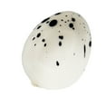thumbnail image 3 of Miangastore Simulation Bird Eggs Mini Artificial Quail Egg Model Toy Creative Easter Decor for Home Garden, 3 of 8