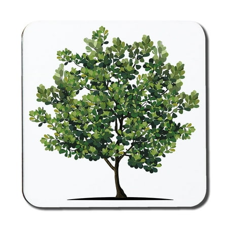

Tree (Coaster)