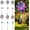 6pcs, variant on Magical Holographic Rainbow Solar Pinwheel Lights, Color Changing LED Windmill Garden Stakes, Waterproof Outdoor Kinetic Yard Decor for Patio, Lawn, Pathway, Party