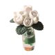 thumbnail image 1 of Accesorios de Plantas de Bonsái en Miniatura Hugo Adorno de Micro Paisaje Casa de Muñecas Blanco, 1 of 9