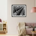 thumbnail image 3 of Historic Framed Print, Women aircraft workers finishing transparent bomber noses for fighter and reconnaissance planes at Douglas Aircraft Co. plant in Long Beach, Calif., 17-7/8" x 21-7/8", 3 of 9