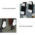 thumbnail image 4 of Protège-Jambes Cheval, Coquillage en PU Blanc, pour Cheval, 4 of 8