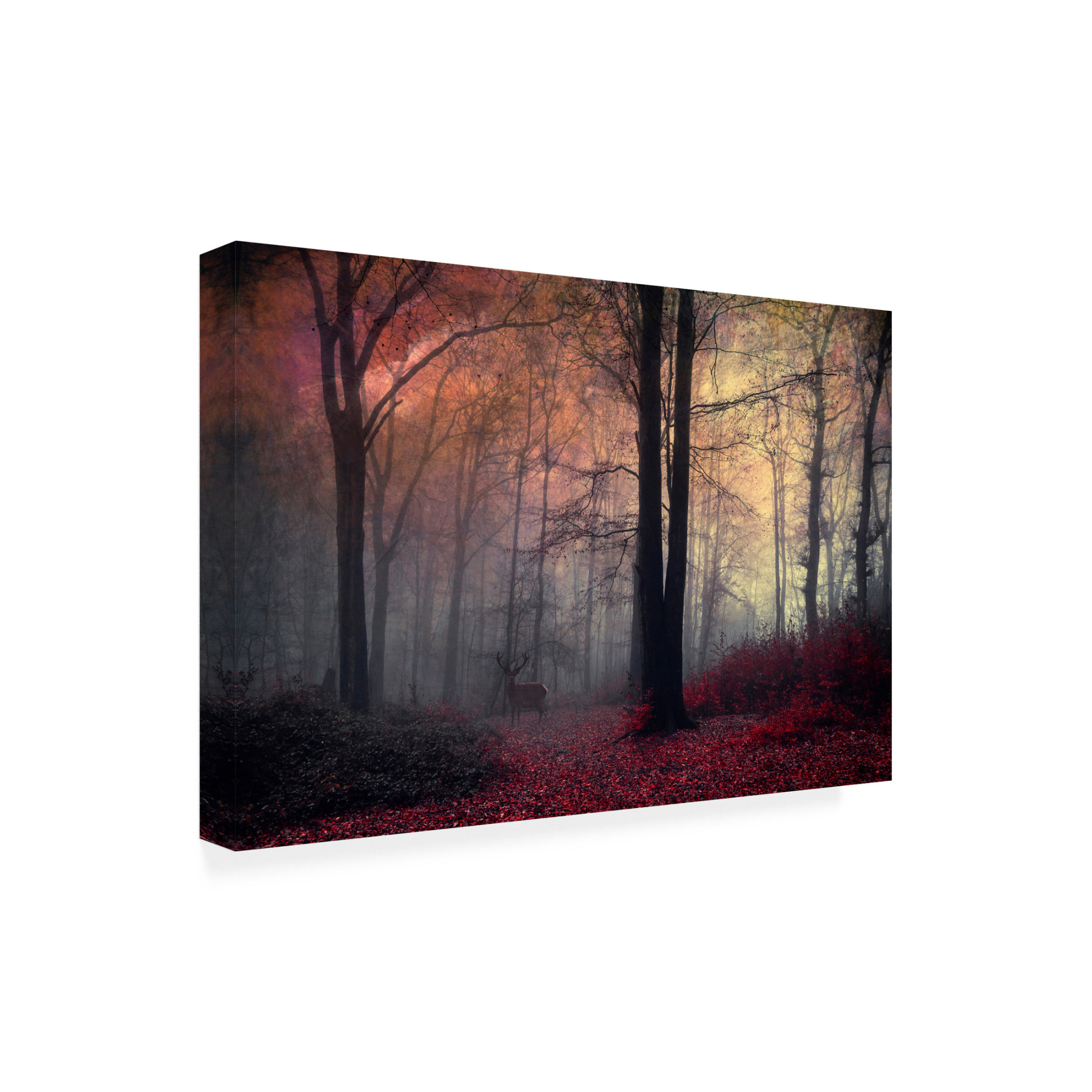 Canvas Wall Art - Dirk Wüstenhagen 'Forest Dream' Wall Art for Living Room, Bedroom, or Office Décor by Trademark Fine Art - 19 x 12 Inches