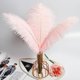 thumbnail image 5 of Xiao Hua 24 plumas de avestruz rosas naturales a granel de 25 a 30 cm para centros de mesa de bodas, fiestas, Pascua, Gatsby y decoración del hogar., 5 of 5