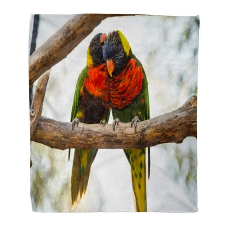 559 Sofa - ASHLEIGH Throw Blanket Warm Cozy Print Flannel Two Parrots Love Birds in Kiss Each Other While Perched on Tree Comfortable Soft for Bed Sofa and Couch 58x80 Inches