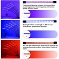 thumbnail image 3 of Lumière de Croissance pour Plantes d'Intérieur, 150 Lampes LED, 10 Niveaux de Luminosité Réglables, 3 Modes de Commutation Fonction de Minuterie Auto ON/Off, 5 Cols de Cygne Réglables avec Rouge Bleu+ Spectre Complet pour Graines Fleurs, 3 of 7