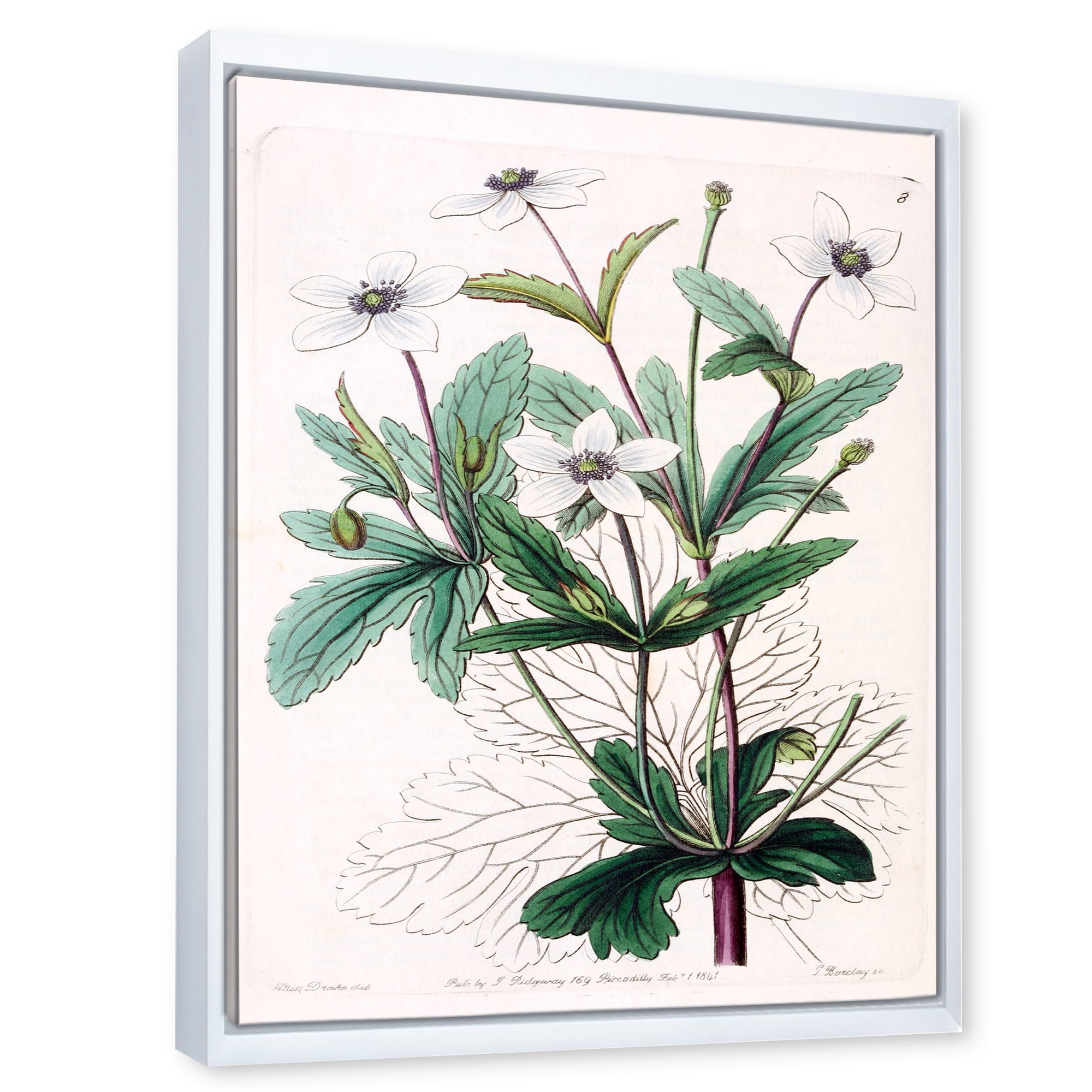 Designart 'Ancient Plant Life XXI' Traditional Framed Canvas Wall Art Print